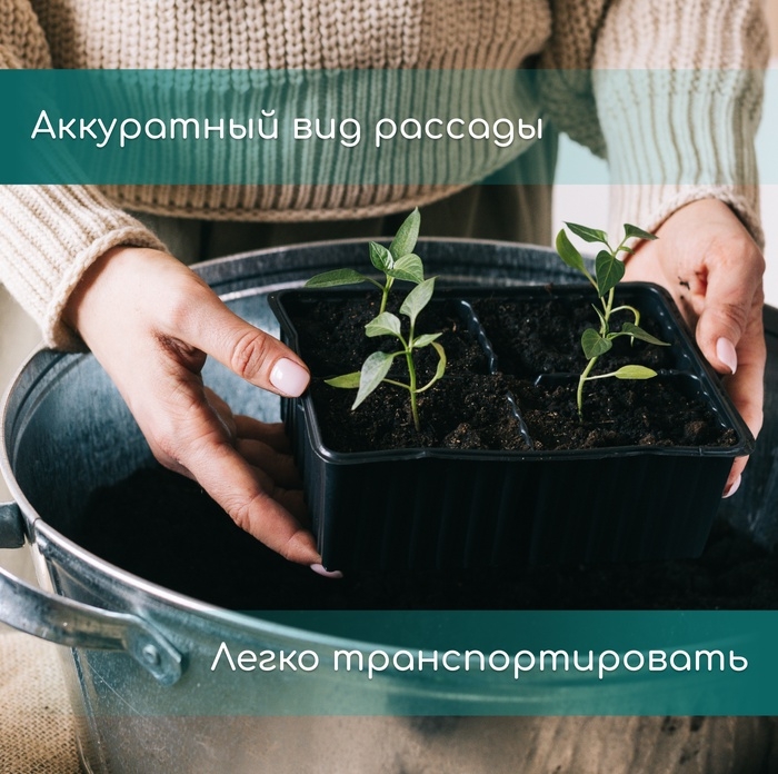 Кассета для рассады, на 9 ячеек, по 80 мл, пластиковая, чёрная, 18 &times; 13 &times; 6 см, Greengo