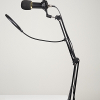 Микрофон конденсаторный Music Life золотой: кабель, ветрозащита, стойка