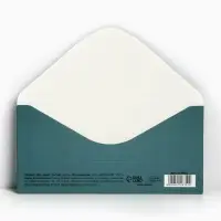 Конверт для денег &laquo;Цветы&raquo;, 16.5 &times; 8 см