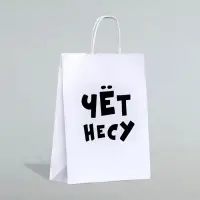 Пакет подарочный бумажный &laquo;Чёт несу&raquo;, 24&times;14&times;28 см