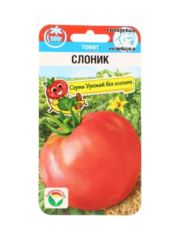 Семена Томат Слоник 20 шт.