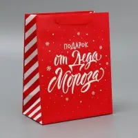 Набор новогодних пакетов &laquo;Новогодний подарок&raquo;