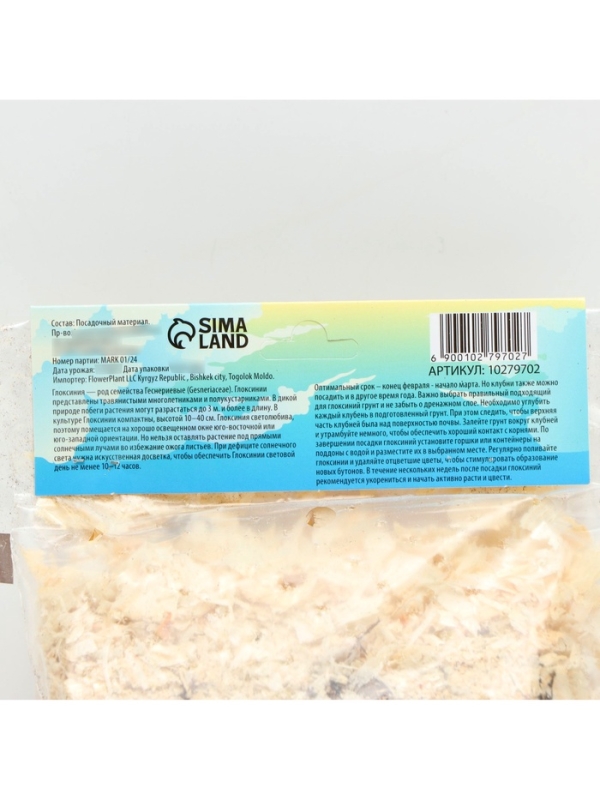 Глоксиния &laquo;Корина&raquo;, многолетник, комнатный, луковица в пакете с перфорацией, р-р 5/6, 2 шт.