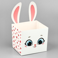 Коробки для мини букетов &laquo;Зайка&raquo;, 12 &times; 20 &times; 10 см