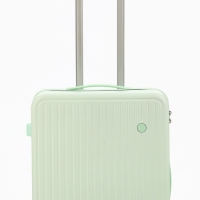 Чемодан 24", PС, 42*27*66, отд на молнии, код замок, 4 колеса, св. зеленый