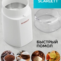 Кофемолка SC-CG44506