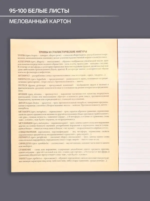 Тетрадь предметная 48 листов в линейку, Calligrata &laquo;Герб. Литература&raquo;, обложка мелованный картон
