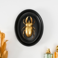 Панно интерьерное полистоун "Жук-олень" чёрный с золотом 15х3х19 см