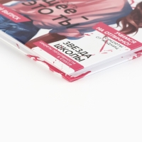 Дневник школьный 5-11 класс, в твердой обложке, 48 л. «Стиль» Дневник школьный 5-11 класс, в твердой обложке, 48 л. «Стиль»