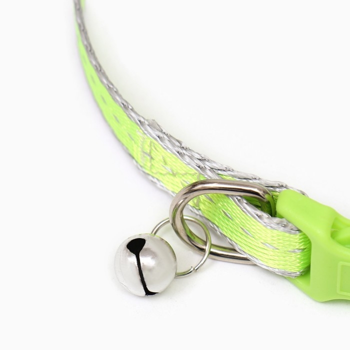 Ошейник "Неон" 24-36 х 1,5 см, зелёный