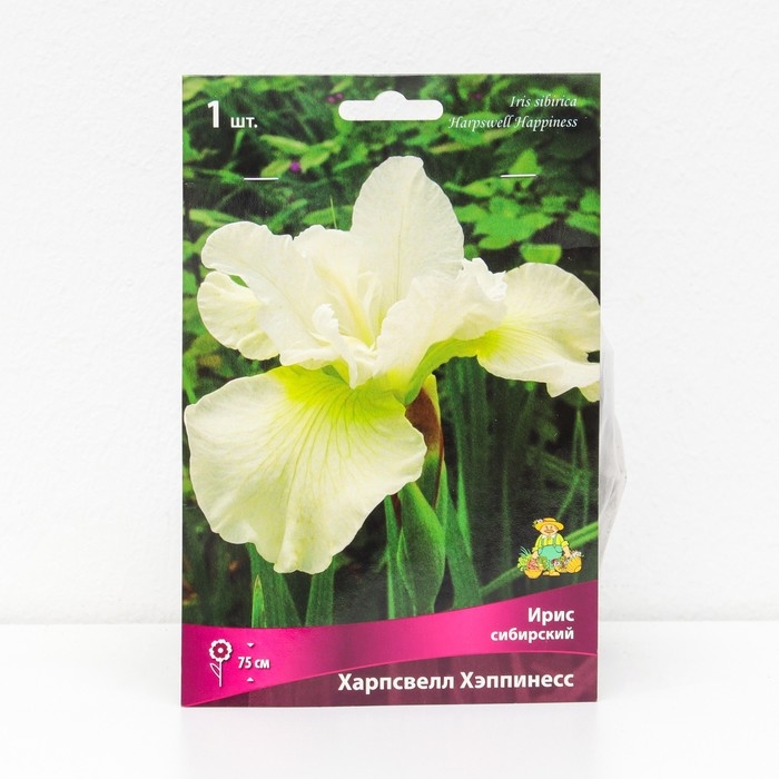 Ирис сибирский "Харпсвелл Хэппинесс", 1 шт, р-р I, Весна 2025