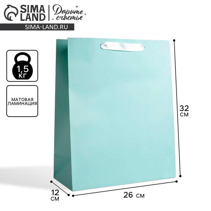 Пакет подарочный, упаковка, &laquo;Мятный&raquo;, 26 х 32 х 12 см