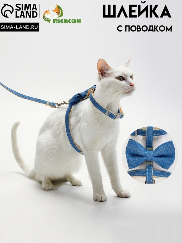 Комплект амуниции "Леди и Джентельмен", поводок 120 х 1 см, синий