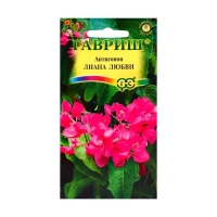 Семена Антигонон "Лиана любви", ц/п, 5 шт. Семена Антигонон "Лиана любви", ц/п, 5 шт.