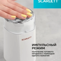 Кофемолка SC-CG44506