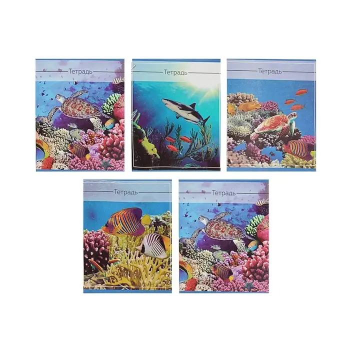 Тетрадь 36 листов в клетку, Calligrata &laquo;Океан&raquo;, обложка мелованная бумага, серые листы, МИКС