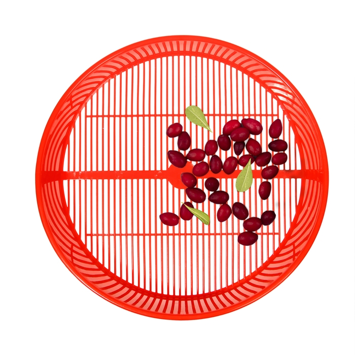 Сито для очистки ягод, d=36 см, h=7,6 см, пластик