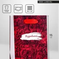 Пакет подарочный вертикальный &laquo;Поздравляю&raquo;, S 12&times;15&times;5.5 см