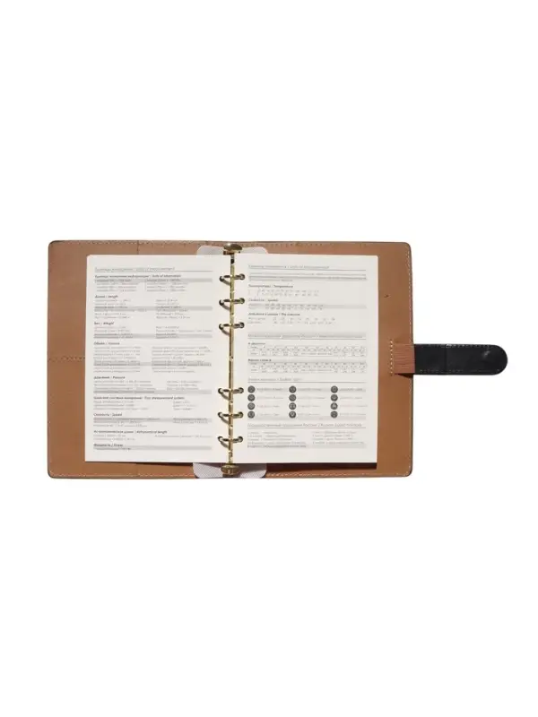 Органайзер на кольцах, C6, с хлястиком, 80л, линия, к/зам, Черный