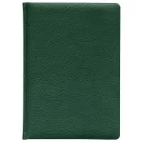 Ежедневник Sagrin, недатированный, зеленый