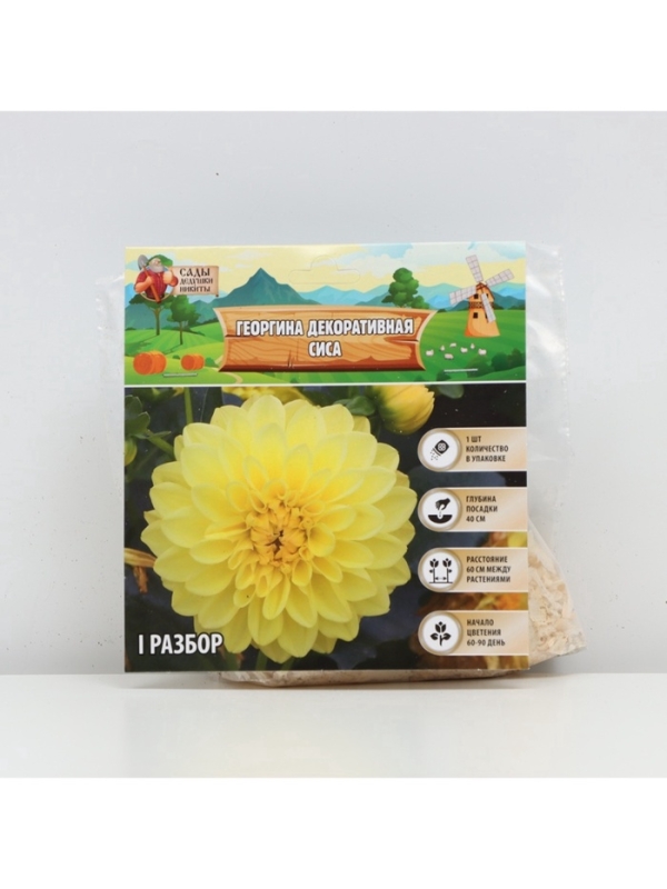 Георгина Декоративная &laquo;Сиса&raquo;, клубелуковица в упаковке, р-р I, 1 шт.