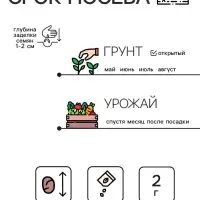 Семена Редис "Смак", 2 г