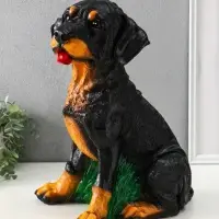 Копилка "Ротвейлер", 37,5х23,5х29 см