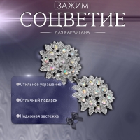 Зажим для кардигана &laquo;Соцветие&raquo;, цвет радужный в серебре