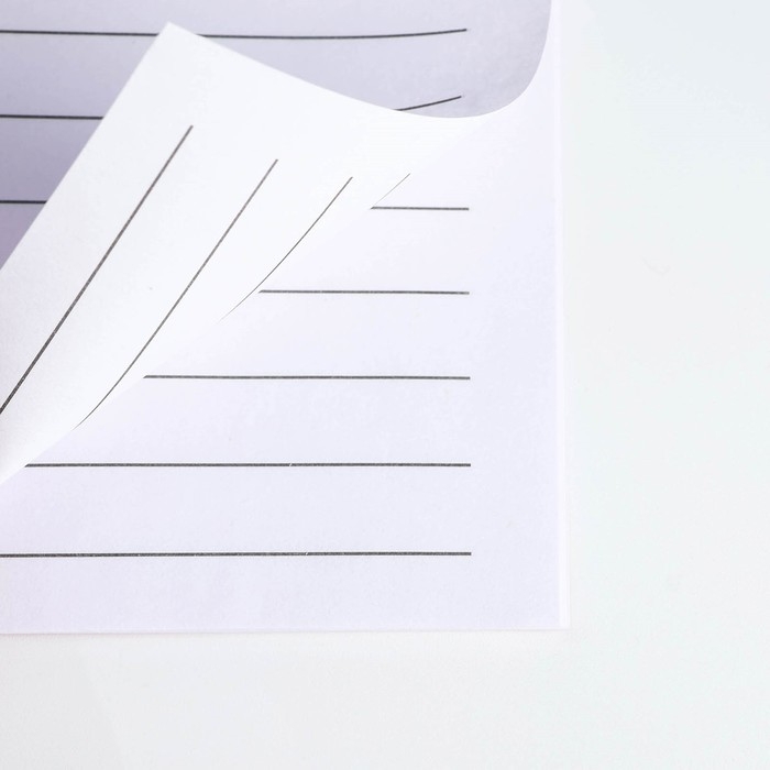 Подарочный набор блокнот - раскраска, мелки 4 шт. &laquo;Настоящий чемпион&raquo;