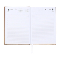 Ежедневник датированный 2024 года, А5, 176 листов, Attomex.Regent, обложка бумвинил, ляссе, блок 70 г/м2, золотой