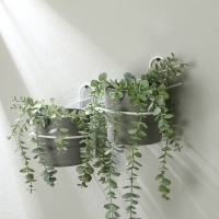 Подвес для кашпо, настенный, d = 16 см, белый, &laquo;Косая-2&raquo;