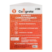 Карман самоклеящийся А4, 223 х 303 мм, комплект 5 штуки, Calligrata, 110 мкм, на лицевую сторону папок и любые гладкие поверхности Карман самоклеящийся А4, 223 х 303 мм, комплект 5 штуки, Calligrata, 110 мкм, на лицевую сторону папок и любые гладкие поверхности