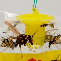 Ловушка от ос, мух и шершней "Argus", 1шт