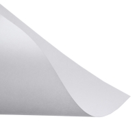 Бумага для черчения А4, 10 листов, блок 200 г/м&sup2;, ErichKrause "Art", без рамки, в пластиковой папке