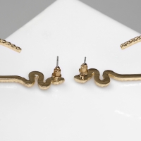 Новый год! Символ года 2025! Серьги металл &laquo;Змея&raquo; грациозная, круг, цвет золото