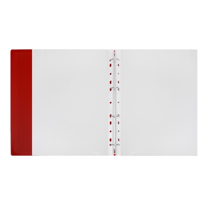 Папка-портфолио А4, Calligrata Папка-портфолио А4, Calligrata "Веселая школа", пластиковая, на 4 кольцах, для школьника, 20 файлов