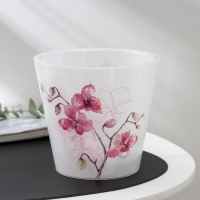 Кашпо для орхидей &laquo;Фиджи&raquo;, 1,6 л, дизайн МИКС