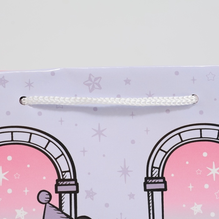 Пакет подарочный Kuromi-5, 180 &times; 227 мм