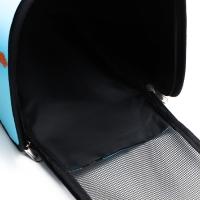 Сумка - переноска для животных "Путешественник", голубая, размер L, 53 х 21 х 29 см Сумка - переноска для животных "Путешественник", голубая, размер L, 53 х 21 х 29 см