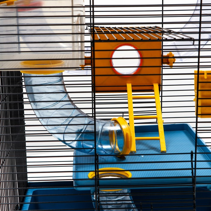 Клетка для грызунов трехярусная с лабиринтом и колесом, 39 x 29 х 64 см, микс цветов Клетка для грызунов трехярусная с лабиринтом и колесом, 39 x 29 х 64 см, микс цветов