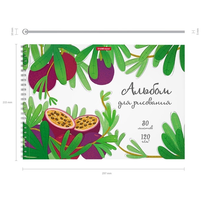 Альбом для рисования А4, 30 листов на спирали, ErichKrause Juicy Fruits, блок 120 г/м², 100% белизна, перфорация для отрыва, твёрдая подложка Альбом для рисования А4, 30 листов на спирали, ErichKrause Juicy Fruits, блок 120 г/м², 100% белизна, перфорация для отрыва, твёрдая подложка