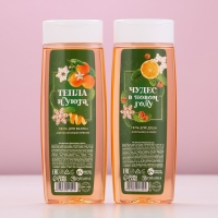 Подарочный набор косметики «Сказочного Нового Года», гель для душа и пена для ванны, 2 х 250 мл, ЧИСТОЕ СЧАСТЬЕ Подарочный набор косметики «Сказочного Нового Года», гель для душа и пена для ванны, 2 х 250 мл, ЧИСТОЕ СЧАСТЬЕ