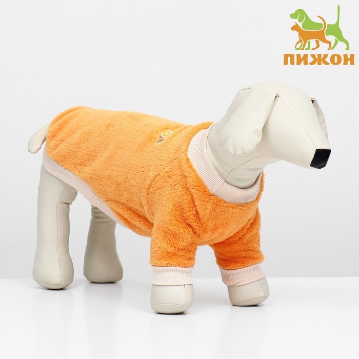 Свитер Свитер "Мандарин", велюр, размер XS (ДС 20, ОШ 21, ОГ 30 см), оранжевый