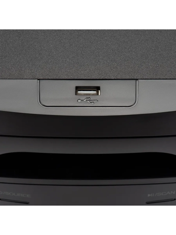 Музыкальный проигрыватель H-MS1404 черный 30Вт