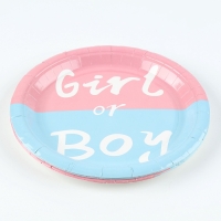 Набор одноразовой посуды &laquo;Гендер Пати&raquo;, 15 предметов