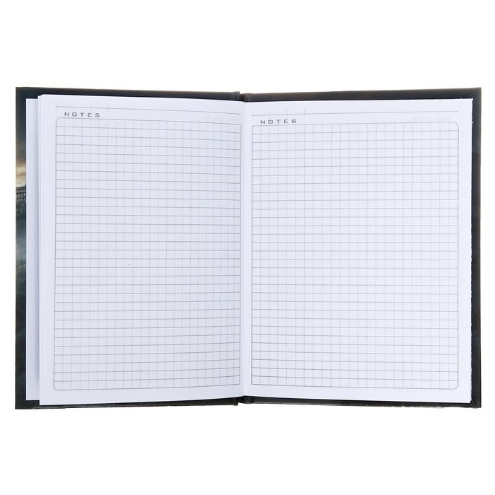 Записная книжка, А6, 48 листов, в клетку, Записная книжка, А6, 48 листов, в клетку, "Hogwarts Legacy. Гарри Поттер", глянцевая ламинация, блок офсет 60г/м2