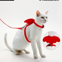 Комплект амуниции "Ангел", размер XS, шлейка 19-26 см, поводок 120 х 1 см, красный