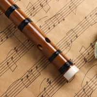 Флейта Music Life 48 см, бамбук, тональность D Флейта Music Life 48 см, бамбук, тональность D