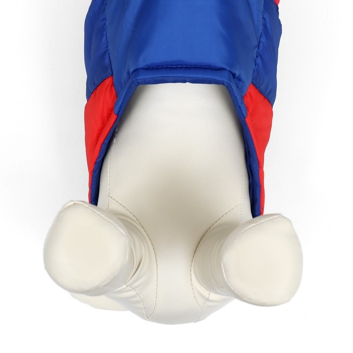 Куртка для собак "Патриот", размер S (ДС 22, ОГ 37 см)