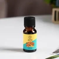 Эфирное масло &laquo;Персик&raquo;, 10 мл, &laquo;Богатство Аромата&raquo;